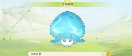 蕈兽特训攻略（打造顶级蕈兽战队，掌握技能释放的诀窍）