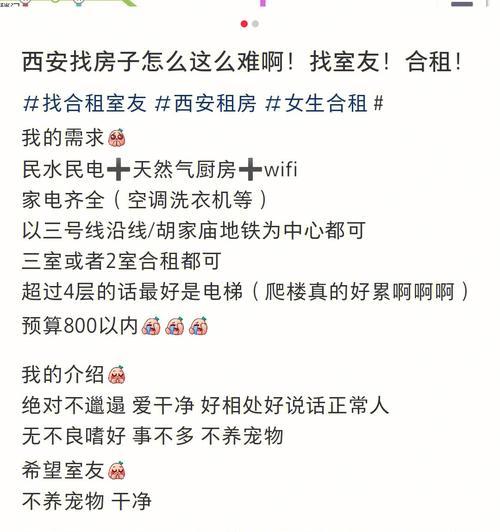 《以我的合租女友游戏攻略》（如何在合租生活中赢得女友的心）