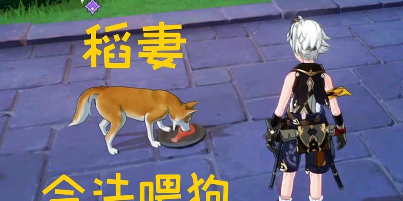 原神喂狗隐藏成就攻略（挑战自己，解锁更多隐藏成就！）